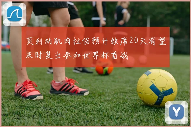 莫利纳肌肉拉伤预计缺席20天有望及时复出参加世界杯首战